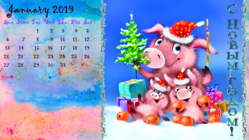 Картинка календари праздники +салюты шапка свинья елка цитрус поросенок