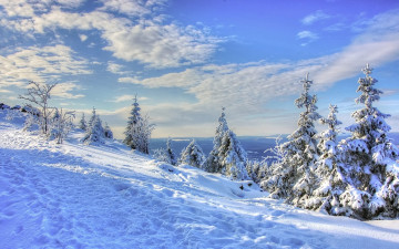 Картинка природа зима пейзаж ёлки ели деревья тропа следы небо облака снег склон
