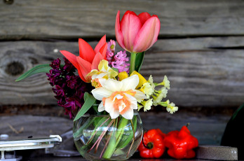 Картинка цветы букеты +композиции тюльпан гиацинт нарцисс