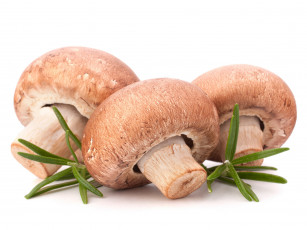 Картинка еда грибы +грибные+блюда розмарин шампиньоны свежие