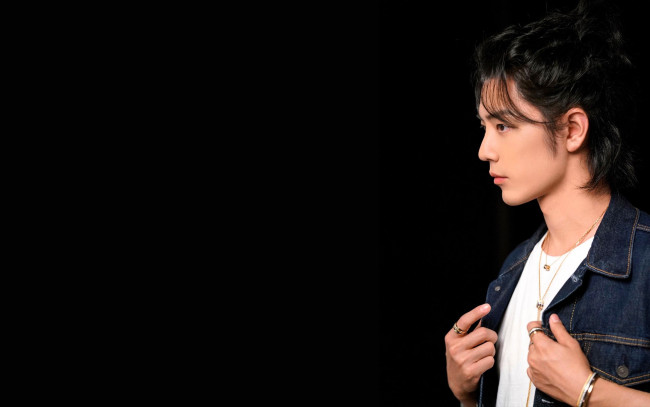 Обои картинки фото мужчины, xiao zhan, актер, лицо, куртка, украшения