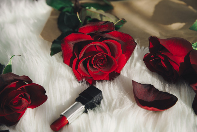 Обои картинки фото цветы, розы, красный, помада, фото, любить