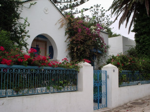 Картинка разное сооружения постройки дом забор калитка кусты цветы