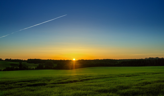 Обои картинки фото природа, поля, поле, солнце, восход