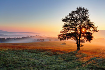 Картинка природа восходы закаты рассвет поля дерево