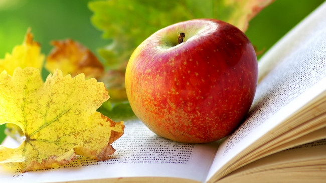 Обои картинки фото еда, Яблоки, книга, лист, осень