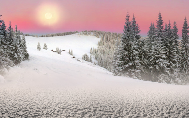 Обои картинки фото природа, зима, winter, snow, nature, лес, елка, снег, солнце