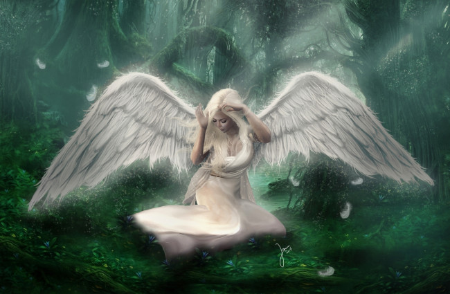 Обои картинки фото фэнтези, ангелы, грусть, слезы, крылья, девушка, ангел, лес
