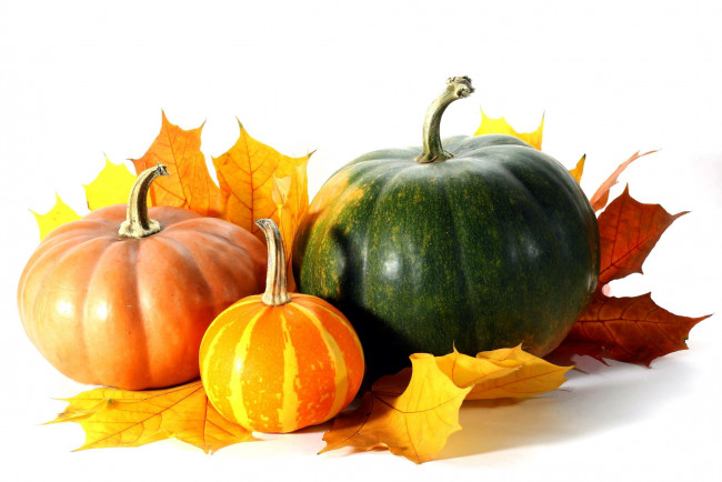 Обои картинки фото еда, тыква, листья, осень, оранжевый, зеленый