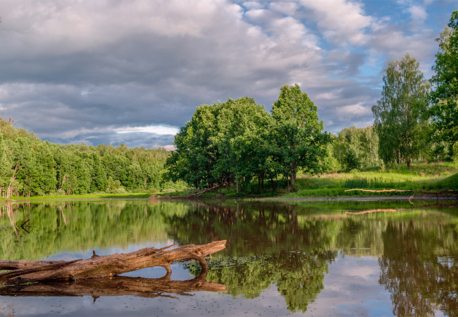 Обои картинки фото природа, реки, озера, лесное, озеро, александр, березуцкий, лес, отражение, облака, деревья