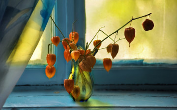 Картинка цветы букеты +композиции ваза букет окно