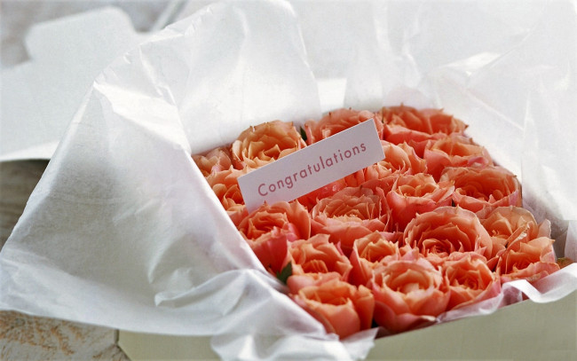 Обои картинки фото цветы, розы, коробка, поздравление