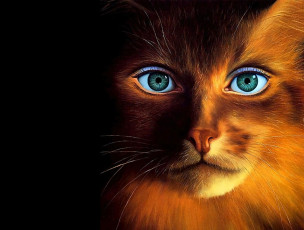 Картинка рисованное животные +коты кот глаза