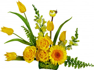 Картинка цветы букеты композиции желтые