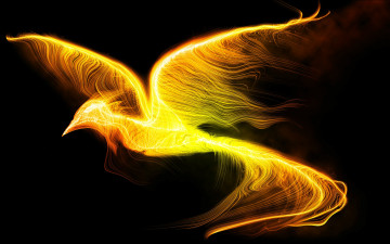 Картинка 3д графика animals животные черный фон феникс птица полет крылья огонь
