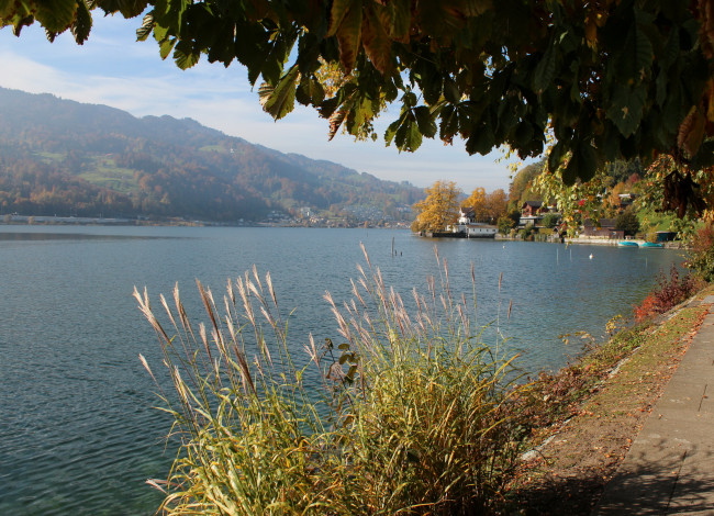 Обои картинки фото швейцария, фирвальдштетское, озеро, природа, реки, озера, набережная, деревья