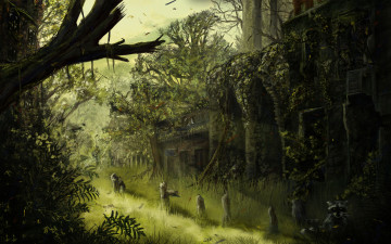 Картинка природа рисованные джунгли лес енот животное