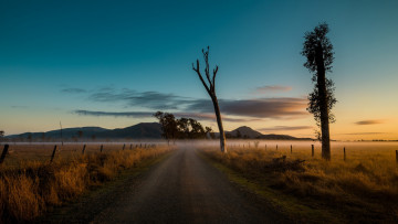 Картинка природа дороги туман дорога утро