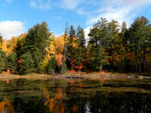 Картинка природа реки озера вода деревья осень