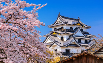 обоя замок хиконэ, города, замки Японии, здпние, цветение, сакура, весна