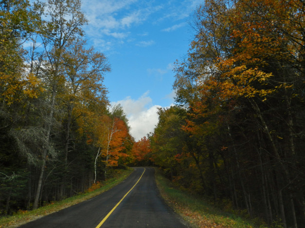 Обои картинки фото природа, дороги, дорога, осень, деревья