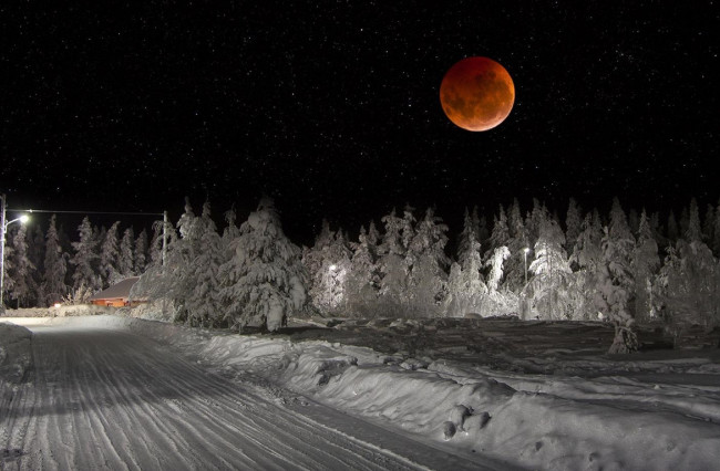 Обои картинки фото природа, дороги, ночь, дорога, лес, снег, небо, красная, луна, lapland