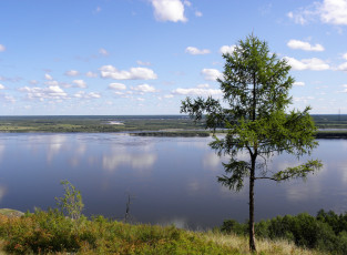 Картинка природа реки озера лена берега дерево