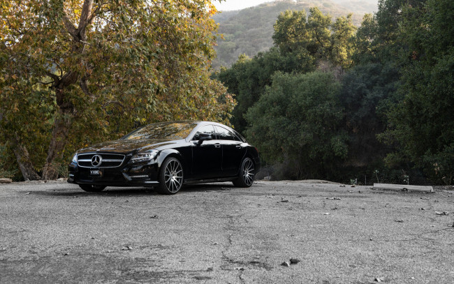 Обои картинки фото автомобили, mercedes-benz, мерседес, черный, деревья