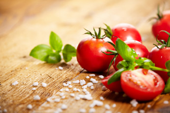 Картинка еда помидоры соль томаты базилик