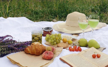 Картинка еда разное пикник напиток фрукты виноград груши
