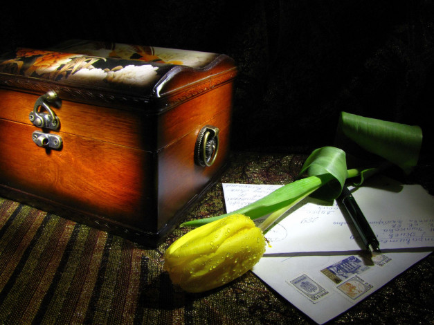 Обои картинки фото цветы, тюльпаны, письма, шкаиулка, тюльпан
