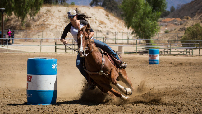 Обои картинки фото спорт, конный спорт, скачки, лошадь, всадник