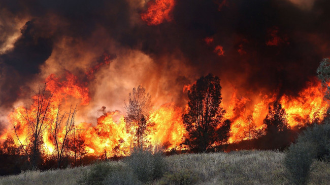 Обои картинки фото природа, огонь, пламя, пожар, лесной