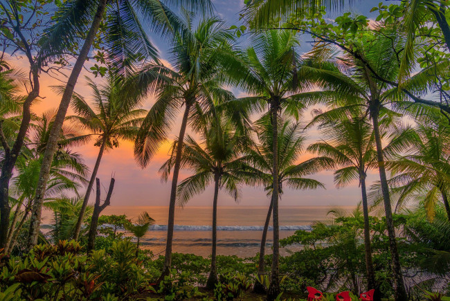 Обои картинки фото красота да ляпота, природа, пейзажи, закат, цветы, пальмы, вечер, карибы, коста-рика