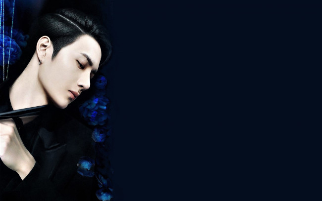 Обои картинки фото мужчины, wang yi bo, лицо, пиджак, розы