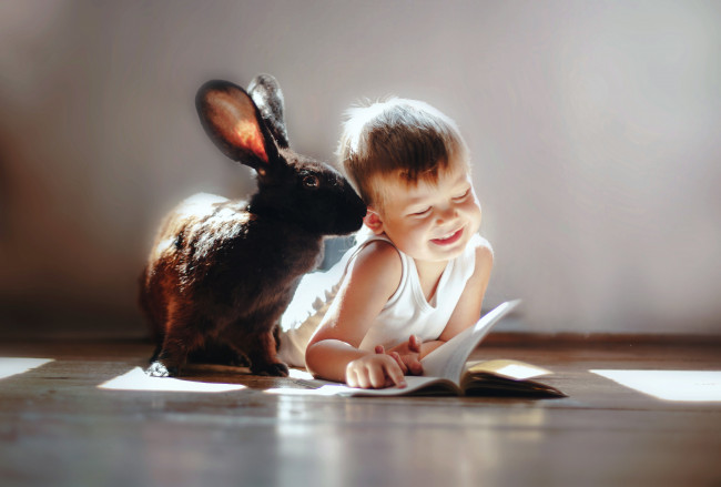 Обои картинки фото разное, дети, кролик, мальчик, книга