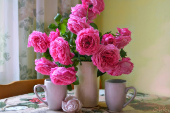 обоя цветы, розы, розовые, букет