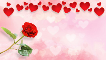 обоя праздничные, день святого валентина,  сердечки,  любовь, роза, красная, сердечки