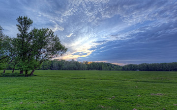 Картинка природа поля деревья закат