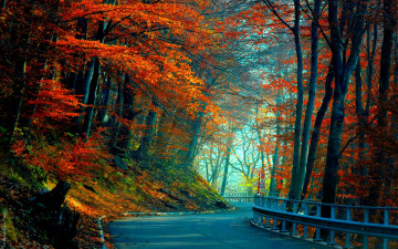 Картинка autumn road природа дороги лес дорога осень краски