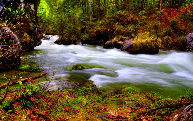Обои картинки фото природа, реки, озера, лес, река, поток, стремнина
