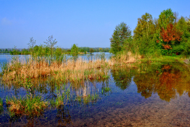 Обои картинки фото германия, лаупхайм, природа, реки, озера, река, кусты