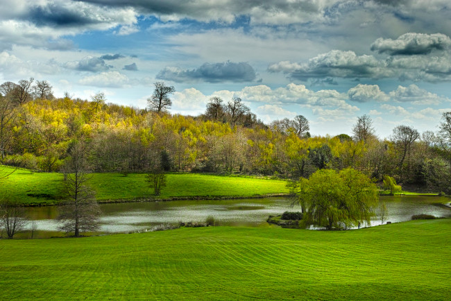 Обои картинки фото природа, реки, озера, река, лес, трава, облака