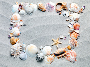 Картинка разное ракушки +кораллы +декоративные+и+spa-камни много песок