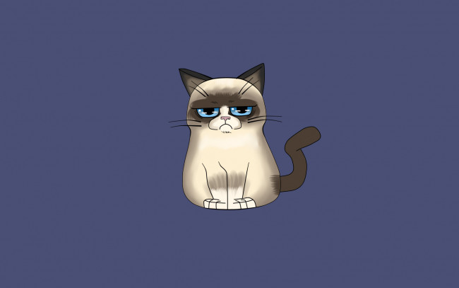 Обои картинки фото сердитый котик, рисованное, минимализм, grumpy, cat, кот, сердитый, котик, tardar, sauce, соус, тардар