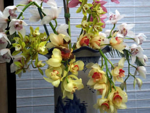 Картинка цветы орхидеи ваза букет