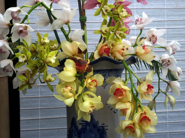 Обои картинки фото цветы, орхидеи, ваза, букет