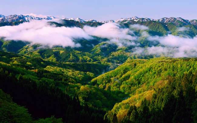 Обои картинки фото природа, горы, зелень, леса, облака