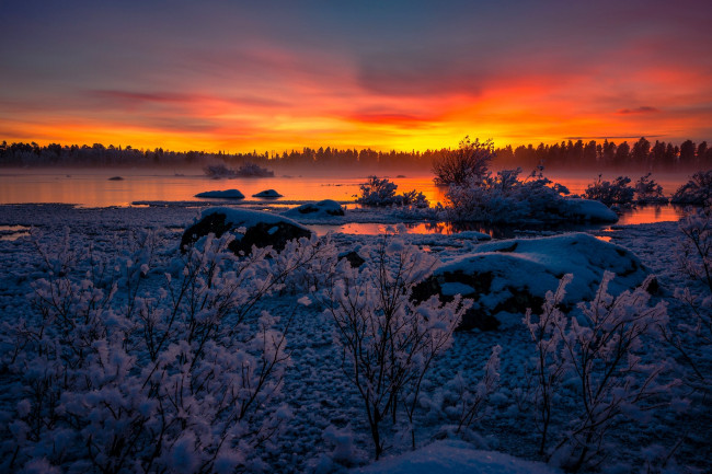 Обои картинки фото природа, восходы, закаты, зима, снег, закат, озеро, швеция, кусты, sweden, lapland, arjeplog, лаппланд, арьеплуг, lake, hornavan, хурнаван