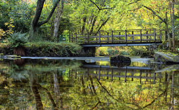 Картинка природа парк водоем мостик японский садик